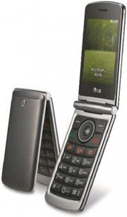 LG G360 titanium Телефон мобильный