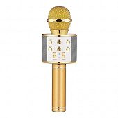 Belsis MA3001GD с Bluetooth золотой Микрофон