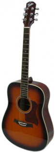 Vision Acoustic 30SB Гитара