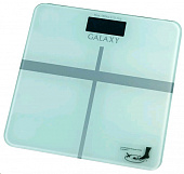 Galaxy GL 4808 весы