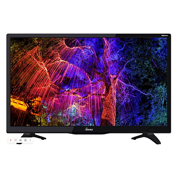 Телевизоры SCOOLE SL-LED24S90T2 — фото, цена, купить