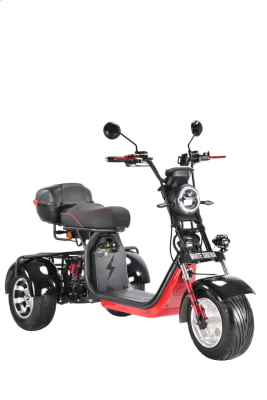 Электротрицикл White Siberia Pro Trike 3000W Black  от магазина Zakaz43