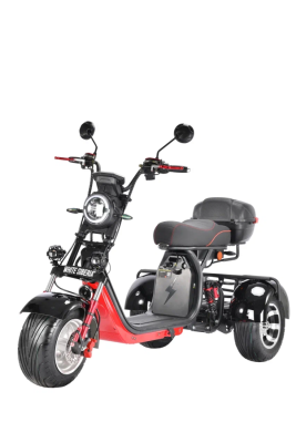 Электротрицикл White Siberia Pro Trike 3000W Black  от магазина Zakaz43
