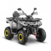 Квадроциклы трициклы GLADIATOR F200 LUX (Лебедка, Спинка, Зеркала, Накладки на багажник) Серый — фото, цена, купить