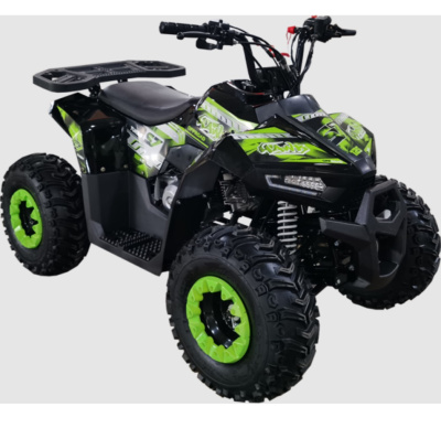 Квадроциклы трициклы RACER ATV HAWK 110 (Синий) RACER ATV HAWK 110 от магазина Zakaz43