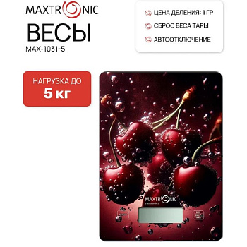 Весы кухонные MAXTRONIC MAX-1031-5 — фото, цена, купить