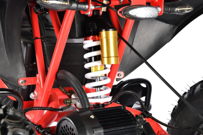 Электроквадроцикл White Siberia Sneg Pro R 3000W  от магазина Zakaz43