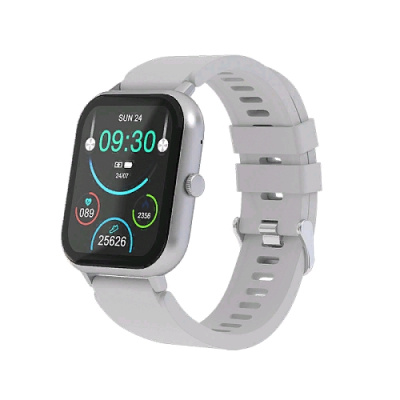 Смарт-часы и браслеты Maxvi SW-02 grey 4803 от магазина Zakaz43