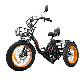 Электротрицикл Kugoo Kirin Trike 750W 48V 15.6Ah — фото, цена, купить