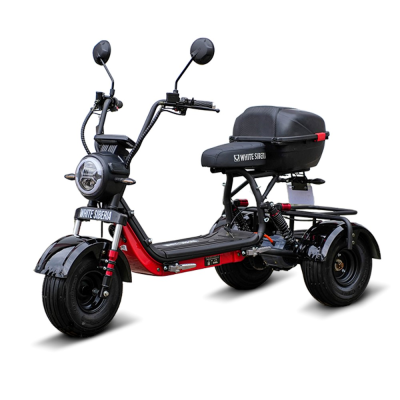 Электротрицикл White Siberia Trike Mini Black 1500W WS-PRO-M-B от магазина Zakaz43