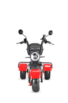 Электротрицикл White Siberia Trike Mini Red 1500W WS-PRO-M-R от магазина Zakaz43