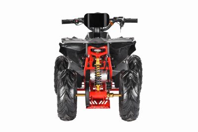 Электроквадроцикл White Siberia Sneg R 1500W  от магазина Zakaz43