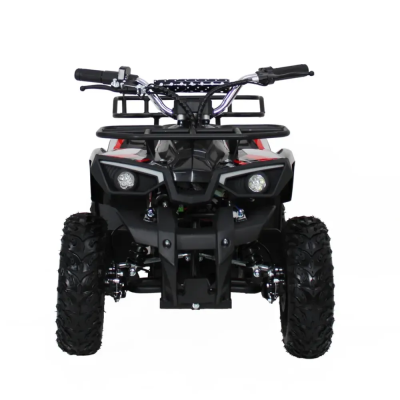 Электроквадроцикл Ikingi К6  от магазина Zakaz43