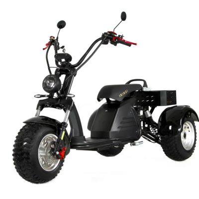 Электротрицикл Ikingi M6 PRO Trike  от магазина Zakaz43