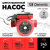 Увеличенное фото: Насосы циркуляционные DAMENTO UPC 32-80 Насосы циркуляционные DAMENTO UPC 32-80 UPC 32-80 от магазина Zakaz43