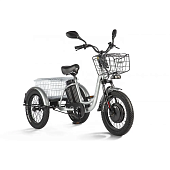 Электротрицикл Eltreco Porter Fat 500 серебристый матовый — фото, цена, купить