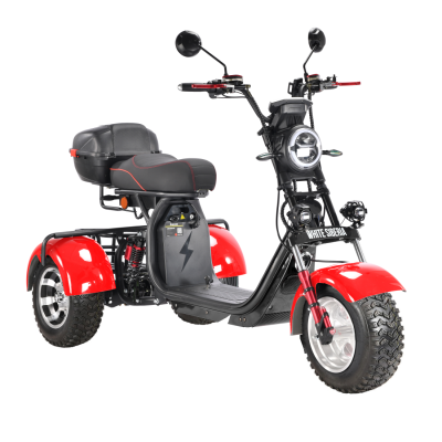 Электротрицикл White Siberia Pro Trike 3000W на колесах Allroad  от магазина Zakaz43