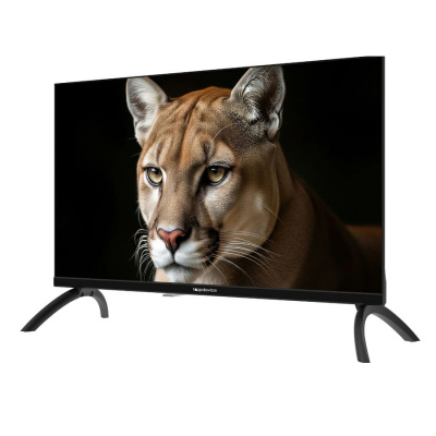 Телевизоры Topdevice TDWC24BH1000I TDWC24BH1000I от магазина Zakaz43