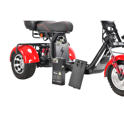 Электротрицикл White Siberia Pro Trike 3000W на колесах Allroad WS-PRO-TR-ARD от магазина Zakaz43