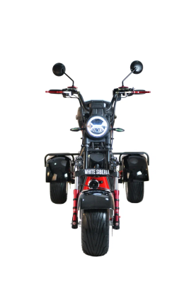 Электротрицикл White Siberia Pro Trike 3000W Black WS-PRO-TR-BL от магазина Zakaz43