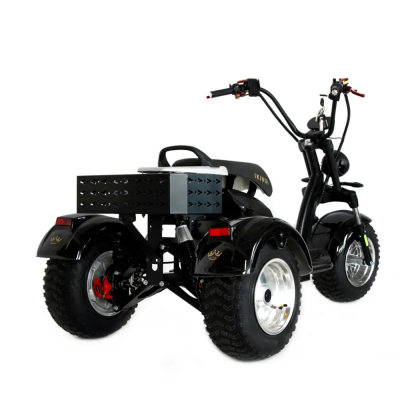 Электротрицикл Ikingi M6 PRO Trike  от магазина Zakaz43