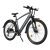 Электровелосипед ADO Electric Bicycle DECE300 серый ADO_DECE300_GR от магазина Zakaz43