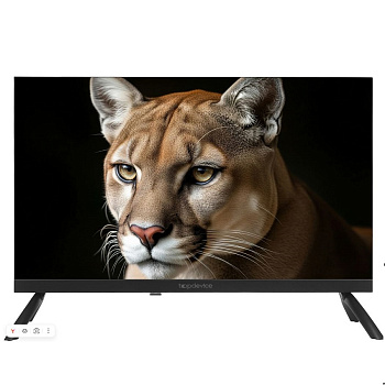 Телевизоры Topdevice TDWC24BH1000I — фото, цена, купить