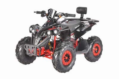 Электроквадроцикл White Siberia Sneg R 1500W  от магазина Zakaz43