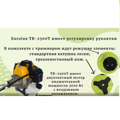 Бензиновые Eurolux TR-2500T 70/2/19 TR-2500T от магазина Zakaz43
