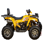 Квадроциклы трициклы AVANTIS Hunter H250 BIG NEW Lux (баланс. вал) Желтый (Арт. УТ-00008038) — фото, цена, купить