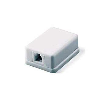 Монтажное оборудование Розетка RJ11 телефонная двойная (2x6P4C) — фото, цена, купить