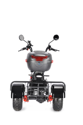 Электротрицикл White Siberia Trike Mini Black 1500W WS-PRO-M-B от магазина Zakaz43