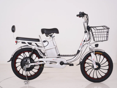Электровелосипед Roxy D203-350 20RX-D-203-350 20RX-D-203-350 от магазина Zakaz43