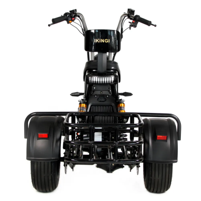 Электротрицикл Ikingi X1 PRO TRIKE IKG-X1-PRO-TR от магазина Zakaz43
