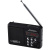 Радиоприемники Perfeo Sound Ranger чёрный 1 от магазина Zakaz43
